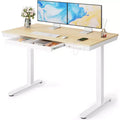 Marsail 48 x 24 inch Standing Desk with Drawer, Whole Piece Tabletop Electric Standing Desk, Height Adjustable Desk with USB Charging Ports