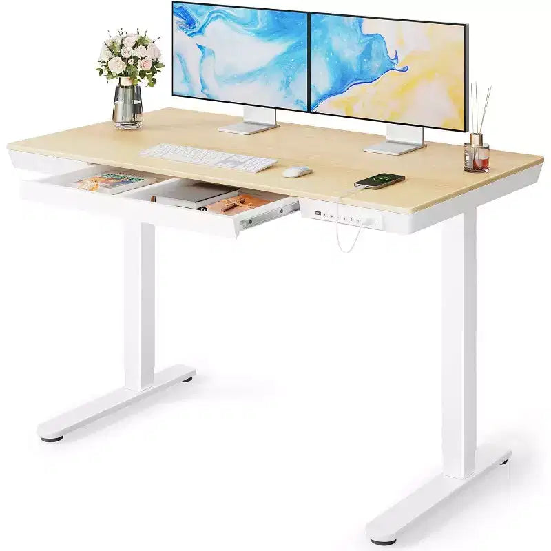 Marsail 48 x 24 inch Standing Desk with Drawer, Whole Piece Tabletop Electric Standing Desk, Height Adjustable Desk with USB Charging Ports