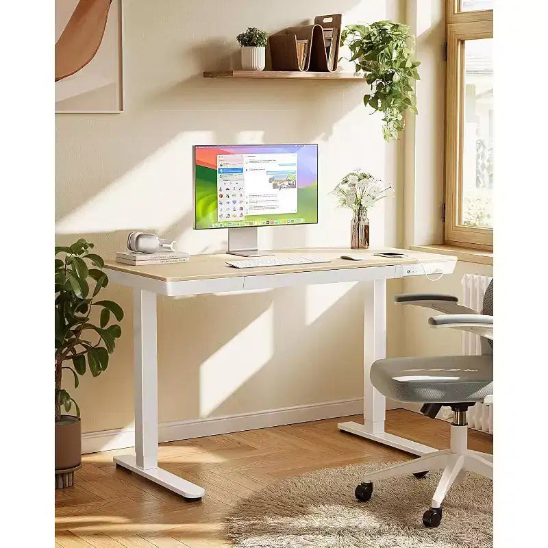 48 x 24 inch Standing Desk with Drawer, Whole Tabletop Electric Standing Desk, Height Adjustable Desk with USB Charging Ports